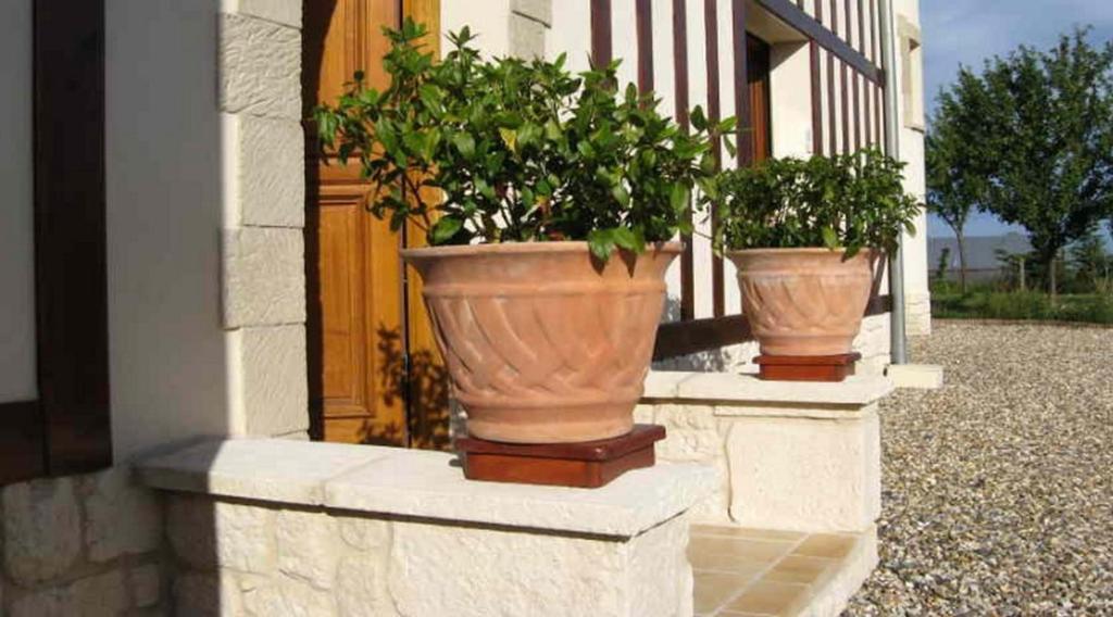Le Mont D'Auge Bed and Breakfast Canapville  Buitenkant foto