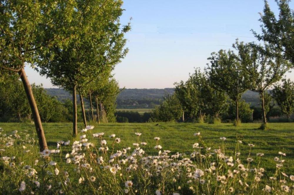 Le Mont D'Auge Bed and Breakfast Canapville  Buitenkant foto